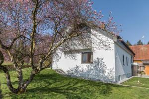 Gallery image of Haus Hasenweide 