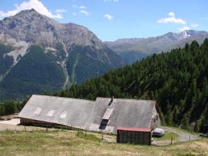 a barn on a hill with mountains in the background at Alp Es-Cha Dadour in Madulain