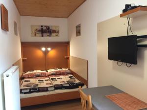 a bedroom with a bed and a table and a tv at Apartmány Novákovi in Dolní Morava