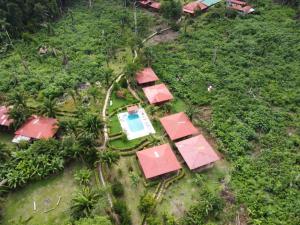 an aerial view of a resort with a pool and trees at Monte Amazonico Lodge in Tambopata