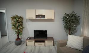 a living room with a tv and a couch and two plants at Apartman Nastasijevic in Kladovo