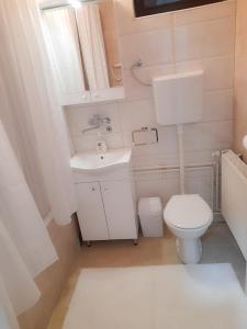 een kleine badkamer met een toilet en een wastafel bij Apartman Djoana - dvosoban apartman u blizini Akva Parka Vrnjačke Terme in Vrnjačka Banja