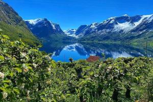 vista su un lago con montagne innevate di Flohytta a Stryn