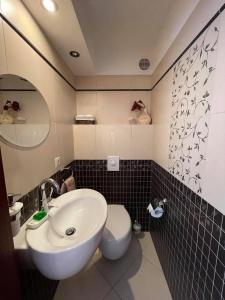 een badkamer met een wastafel en een toilet bij Antresola apartament Zeta Park in Ustroń