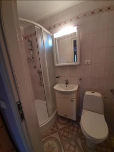 a small bathroom with a toilet and a sink at Słonik in Stegers