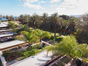 an aerial view of a park with palm trees at Hotel Porto Santo & Spa in Porto Santo