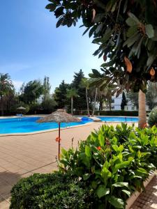 Gallery image of Cozy Estudio II. Edificio Siesta 2 in Alcudia