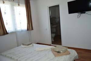 a room with a bed with a mirror and a television at Pensiunea Zelezneac in Băltenii de Sus