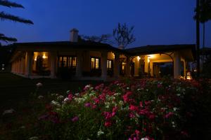Taman di luar Parisons Plantation Experiences by Abad