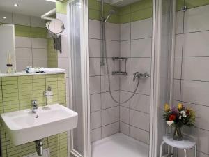 a bathroom with a sink and a shower with a sink at Die Remise Copenhagen RE-16 in Stolpe auf Usedom