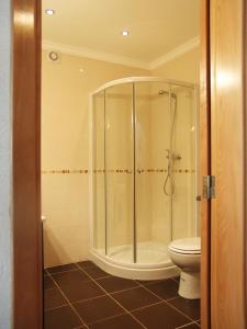 a bathroom with a shower and a toilet at Casa Luz in Vila Nova de Milfontes