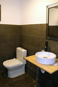 ein Bad mit einem WC und einem Waschbecken in der Unterkunft Cabanute Premium de pescuit in Sînmărghita