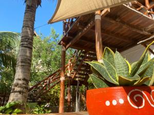 Zahrada ubytování Hotelito Crismi