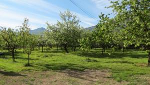 a field of trees with mountains in the background at Apartments Masera in Kobarid