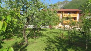a house in the middle of a yard with trees at Apartments Masera in Kobarid