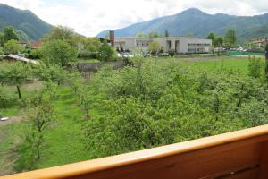 a view of a yard with trees and mountains at Apartments Masera in Kobarid