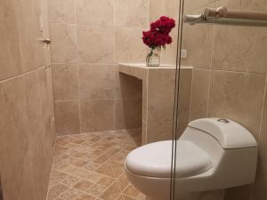 a bathroom with a toilet and a glass shower at El Zumbito in Valle de Anton