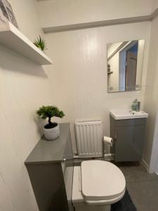 un baño con inodoro y lavabo en Westend Holiday Let 1 Brecon, en Brecon