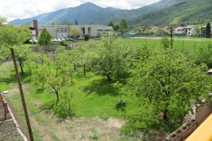 a field of apple trees with mountains in the background at Apartments Masera in Kobarid