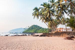 a beach with palm trees and a building on it at Soneca Cola in Cola