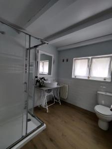 a bathroom with a toilet and a sink at Amets house in Bilbao
