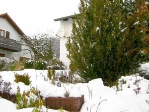 einen schneebedeckten Hof mit einem Baum und einem Haus in der Unterkunft Ferienwohnung Keckl in Beilngries