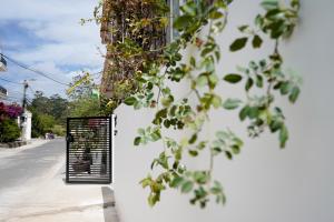 Fotografie z fotogalerie ubytování Whammy House Dalat v destinaci Da Lat