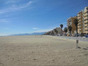 une plage de sable avec des bâtiments et des palmiers. dans l'établissement CHAMBRE CONFORTABLE,GARE,Climatisation,PARKING,WIFI,pt déjeuner compris, à Perpignan