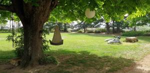 Zahrada ubytování Séjour élégance et bien-être au CHATEAU de GRANDMONT - piscine et parc arboré au coeur du vignoble du Beaujolais