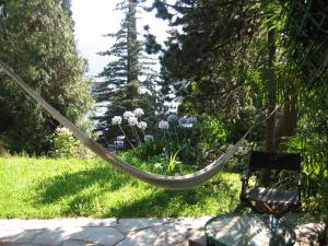 Zahrada ubytování B&B Le Ortensie -Lago di Como