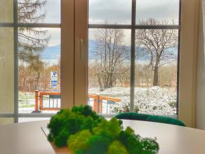 Apartamenty Paszkówka v zime
