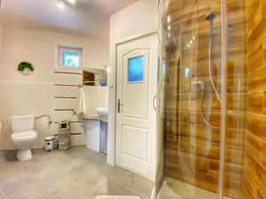 ein Bad mit einer Dusche, einem WC und einem Waschbecken in der Unterkunft Apartamenty Paszkówka in Pietrzykowice