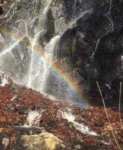 Billede fra billedgalleriet på Linda i Goslar