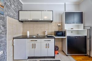 Una cocina o cocineta en Maxi apartman Stanojević