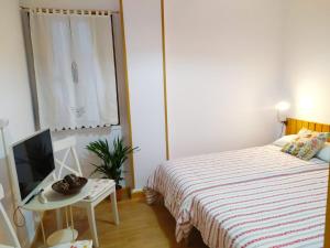 1 dormitorio con 1 cama, TV y mesa en Apartamento Ponsferrata, en Ponferrada