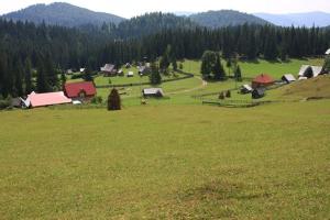 GheţariPensiunea Scarisoara的相册照片