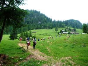 GheţariPensiunea Scarisoara的相册照片