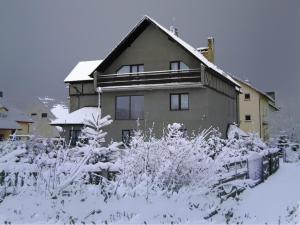 a house covered in snow with bushes and trees at u Bozeny pokoje in Dźwirzyno