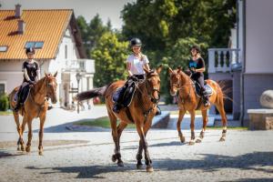 Zwierzęta w hotelu lub w pobliżu