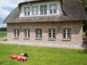 a dog in a toy car in front of a house at Landhausvilla Wolsroi in Steinbergkirche