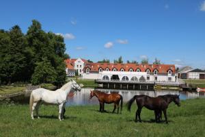 drei Pferde stehen auf einem Feld vor einem Gebäude in der Unterkunft Pałac Mortęgi Hotel & SPA in Lubawa