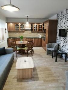 Kuchyň nebo kuchyňský kout v ubytování Apartmány 62