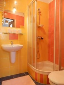 a bathroom with a shower and a sink at Apartament Prześliczna Wiolonczelistka in Zakopane