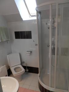 a bathroom with a shower and a toilet and a sink at Apartament Prześliczna Wiolonczelistka in Zakopane