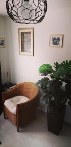 a room with a wicker chair and a potted plant at Studio Confort Netflix Business in Brétigny-sur-Orge