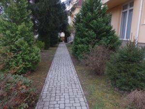 Vonkajšia záhrada v ubytovaní Zoé Apartman