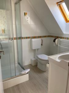 ein Bad mit einem WC und einer Glasdusche in der Unterkunft Levendula Apartman in Balatonfüred