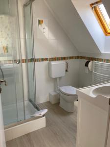 a bathroom with a toilet and a glass shower at Levendula Apartman in Balatonfüred