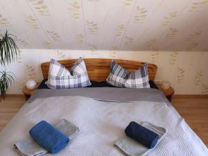 a bed with two blue pillows on top of it at Biosphärenzimmer Bad Urach in Bad Urach