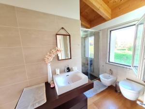 bagno con lavandino, servizi igienici e specchio di Agriturismo Buonavista ad Alberese